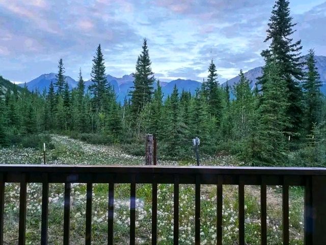 🏔️ Wrangell–St. Elias National Park – Alaska’s Untamed Frontier