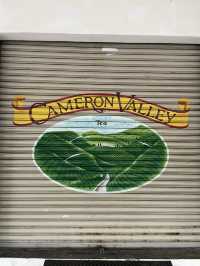 Cameron Highlands - city in the mist
