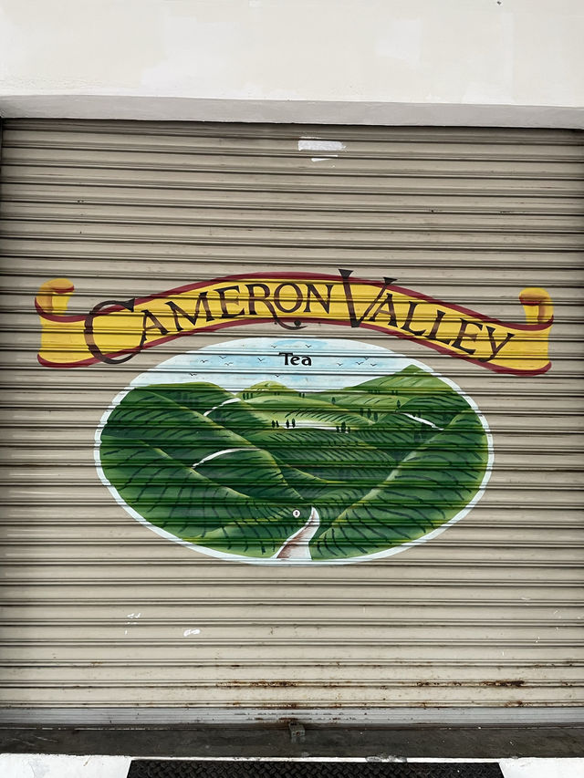 Cameron Highlands - city in the mist