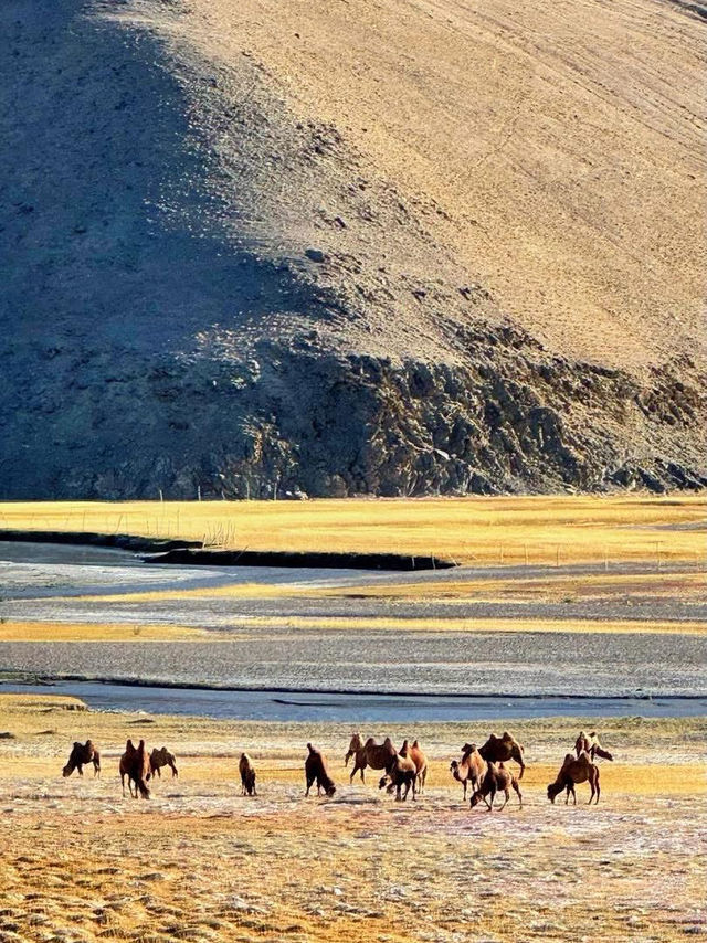 ✨ Southern Xinjiang – a symphony of mountains, grasslands, and endless skies ✨