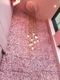 🩷Pink Cafe🩷