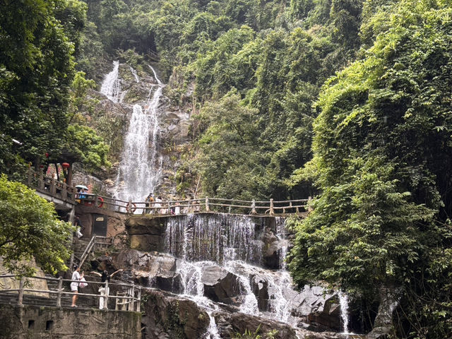 Chillin’ at 鼎湖山: Scenic Vibes & Insta-Worthy Spots 📸🌳