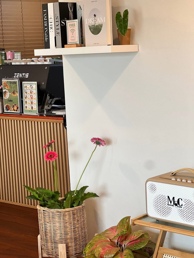 Matcha CAFE 🏡 ☕️ 🍵 Matcha CAFE 🏡 ☕️ 🍵