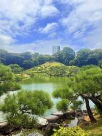 東京｜東京最美的清澄庭園 三菱創辦人的插柳成蔭