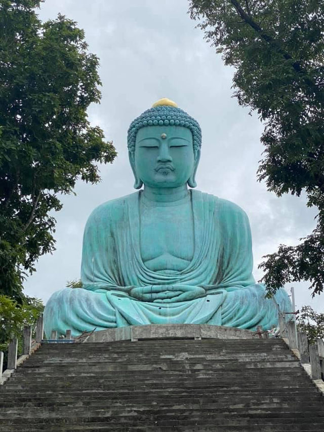 พระใหญ่ไดบุตซึ วัดพระธาตุดอยพระฌาน 🌲