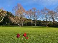 Auckland Botanic Gardens