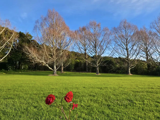 Auckland Botanic Gardens