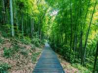 上海🇨🇳余山國家旅遊度假區