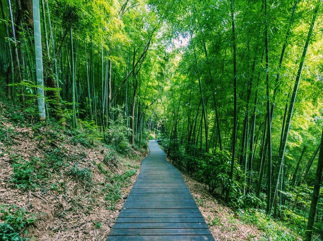 上海🇨🇳余山國家旅遊度假區