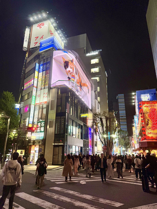 ☕️ Late-Night Café Hopping in Kabukicho, Shinjuku ☕️ Late-Night Café Hopping in Kabukicho, Shinjuku