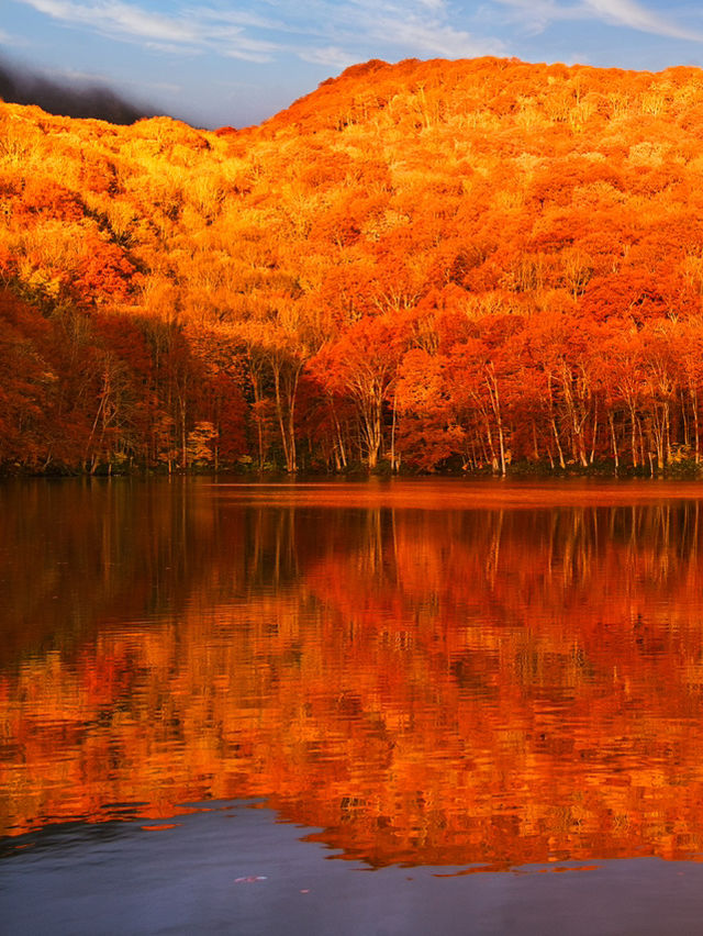 旅行前に見て】観光攻略付‼️早朝の森で 出会う息をのむ「鏡紅葉」の燃えるような絶景🍁✨