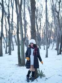 แม่น้ำซงฮัวฮาร์บิน