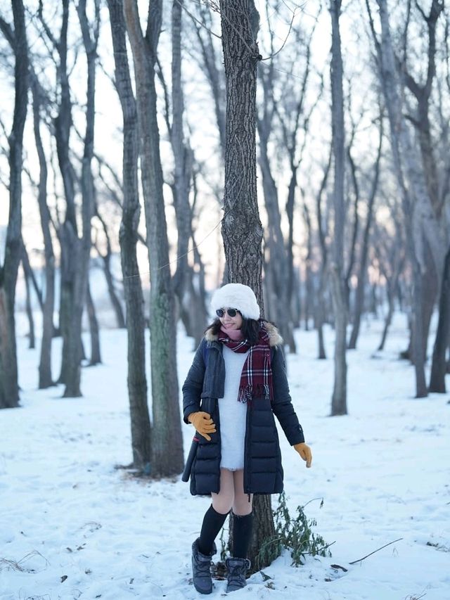 แม่น้ำซงฮัวฮาร์บิน