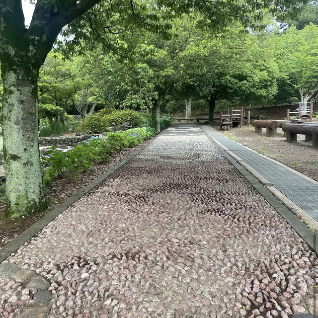 Halla Arboretum, Jeju Island,S.Korea