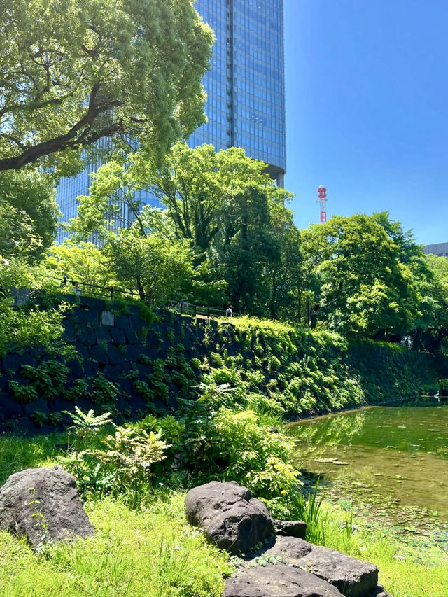 🌸 Bloom & Beauty in Hibiya Park