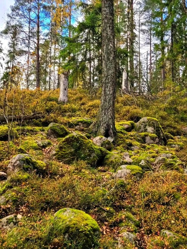 🌲 Nuuksio National Park – Finland’s Wild Heart, Just Minutes from Helsinki