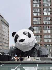 🐼 Chengdu IFS มุมแพนด้าปีนตึกสุดฮอตของเฉิงตู!