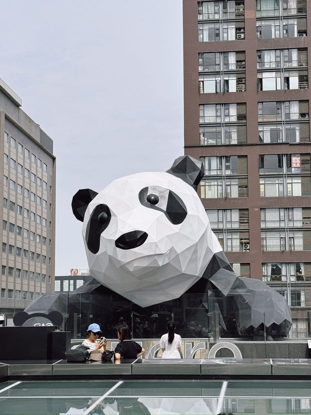 🐼 Chengdu IFS มุมแพนด้าปีนตึกสุดฮอตของเฉิงตู!