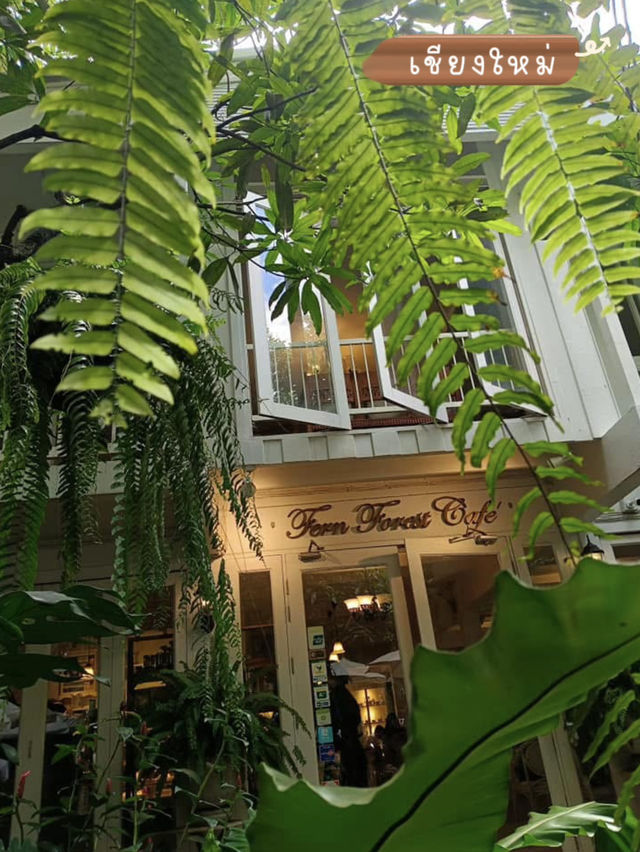 📍คาเฟ่ในสวนเฟิร์นสุดร่มรื่นกลางเมืองเชียงใหม่