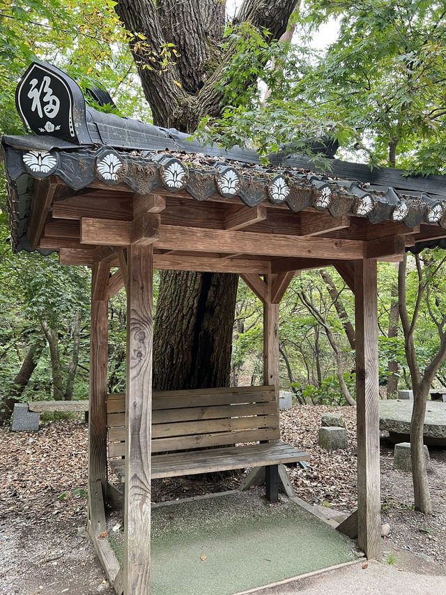 정말 좋네요 가을 산과 산사🍂