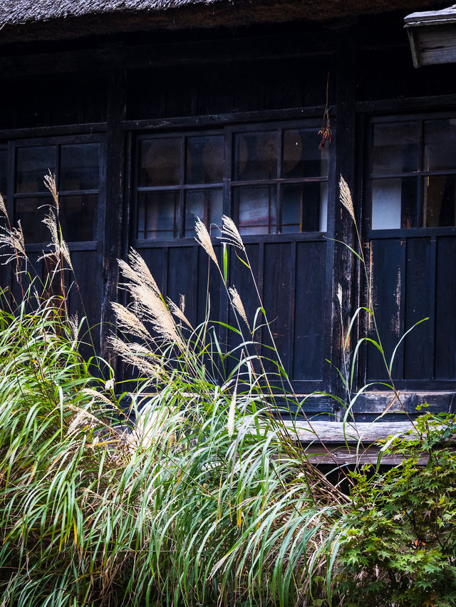 Tsuru-no-yu – สถานที่ที่เราแวะมาเยือนแม้ไม่ได้พัก