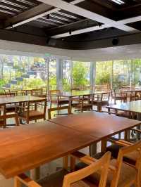 🌿 Calm & Flavorful: Morning at cafe518, Kamakura