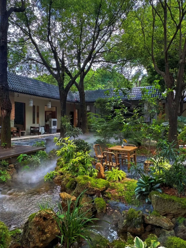 深圳💕朋介紹不來會後悔的地方