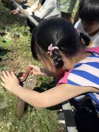 北海道秘境!天狗山展望台絕景+超萌花栗鼠親密接觸