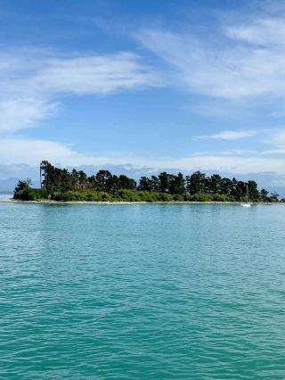 Sunny Shoreline and Endless Relaxed Beach Moments