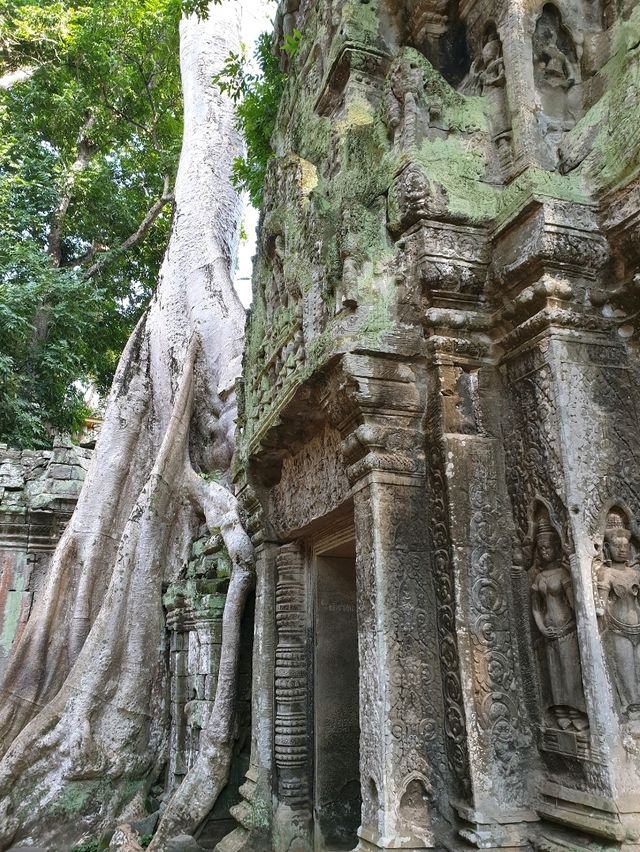 Angkor Wat: The Ultimate Bucket List Icon in Siem Reap 🌳✨