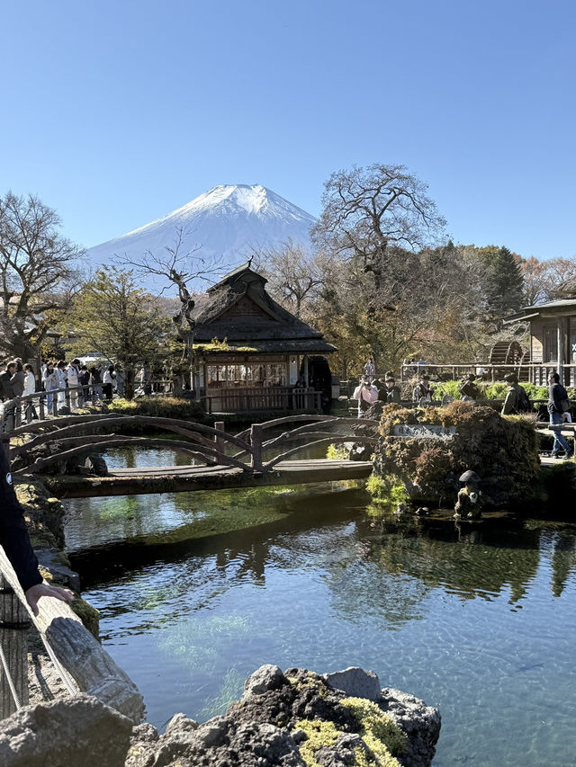 Quineville Fall Vibes & Fuji Views: Ultimate 3-Day Itinerary 🍁🌄