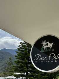 Fresh air, green hills, and happy cows—Kundasang perfection🐄⛰️