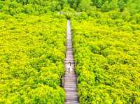 ทุ่งโปรงทอง ระยอง