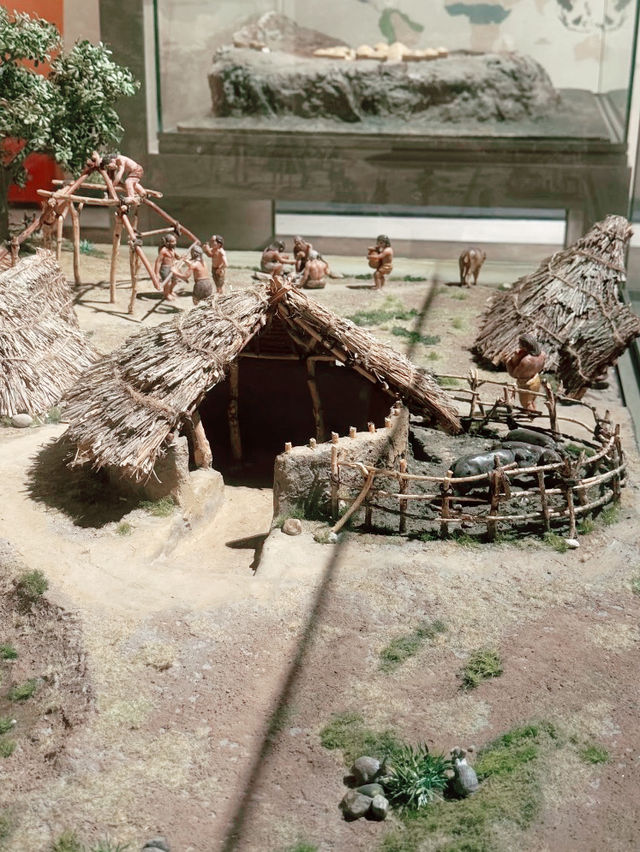 Shanghai Natural History Museum Shanghai Natural History Museum