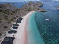 Pink Beach Paradise 🌸