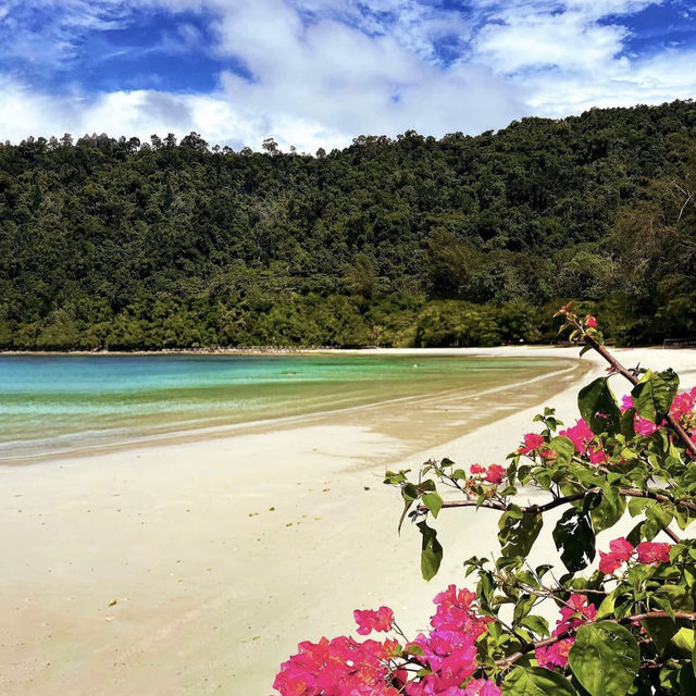 🏝️ Escape to Paradise: Bunga Raya Island Resort Review