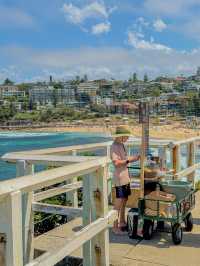 🇦🇺시드니에서 꼭 가봐야 할 로컬 감성 해변, 브론테 비치 Bronte Beach🇦🇺