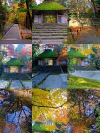 京都法然院紅葉季靜謐之旅🍁