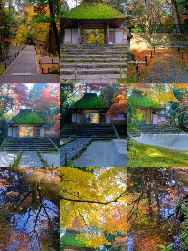 京都法然院紅葉季靜謐之旅🍁