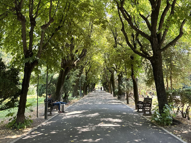 PALACE OF GALERIUS – WHERE ANCIENT ROME MEETS MODERN THESSALONIKI 🏛️✨