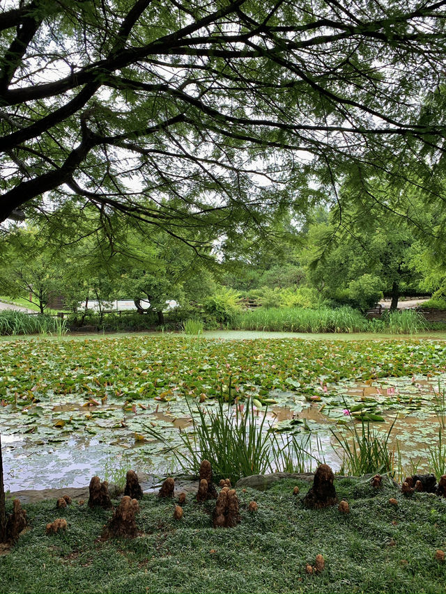 전주 여행코스 3곳 전주 여행코스 3곳