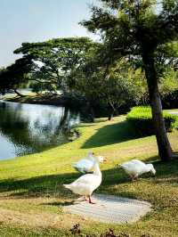 Chimei Park Stroll After Festive Shopping