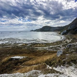 A must-walk trail in Kaikoura, New Zealand! The Kaikōura Peninsula Walkway: A healing walking route where the sea and sky meet.
