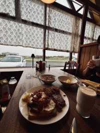 Northern Lights Tripcom✨