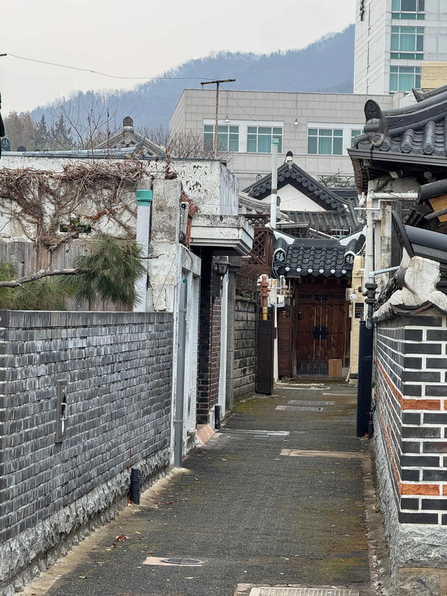 Tradition Awaits🏮 Tradition Awaits🏮