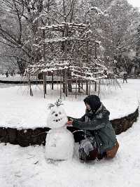 用雙眼、雙腳走進北海道的雪白世界裡