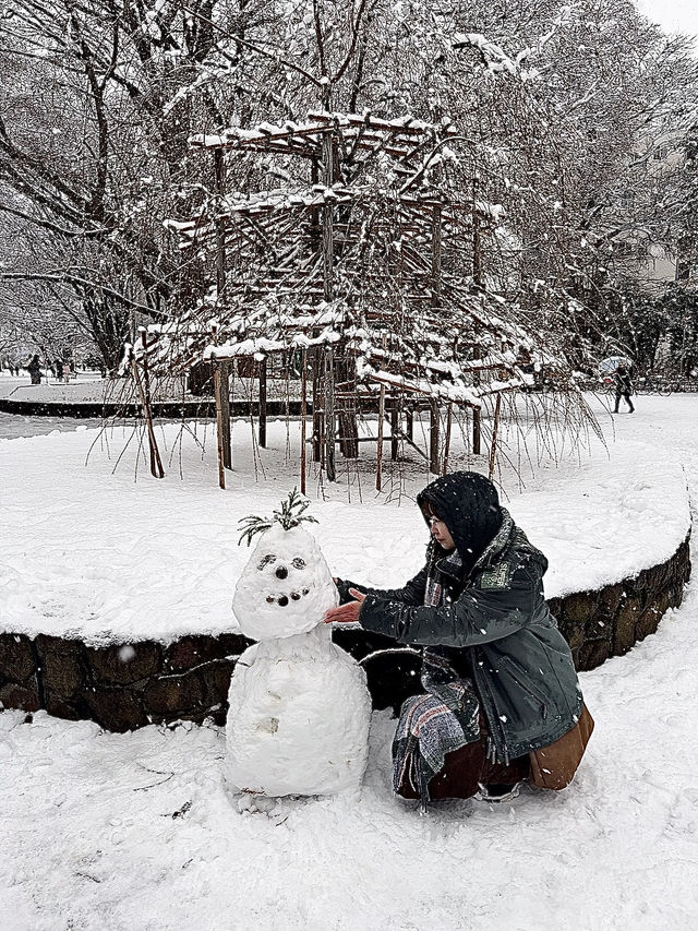 用雙眼、雙腳走進北海道的雪白世界裡