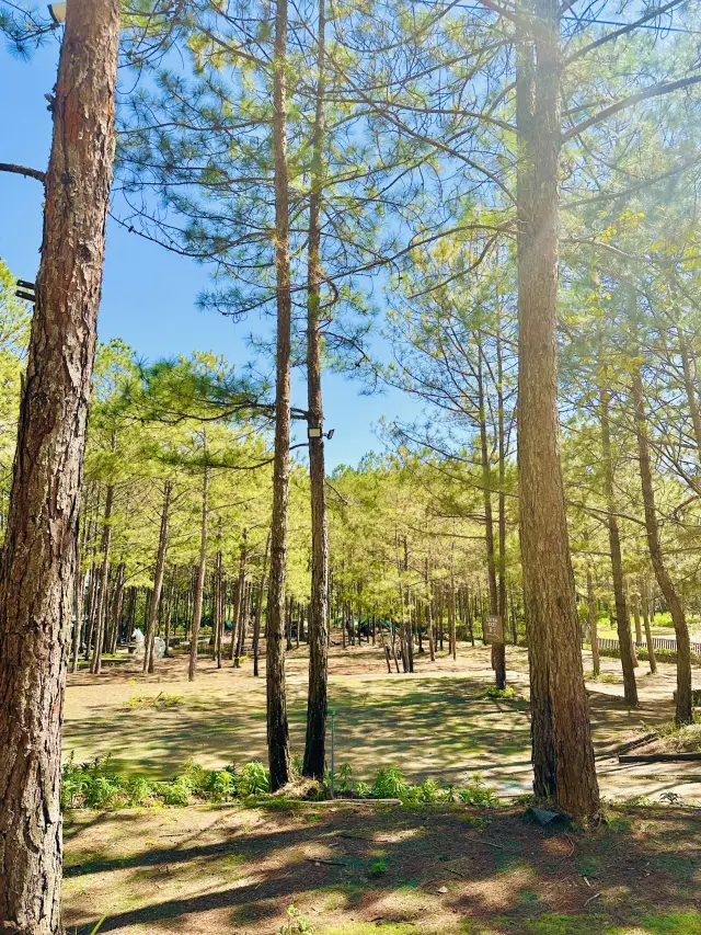 Clay Tunnel and Datanla Waterfalls