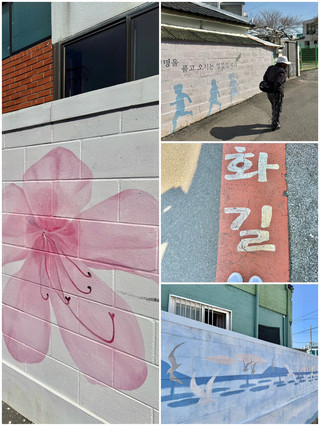 제주 건입동 벽화길 아기자기한 바다 마을 감성 산책 코스 🎨