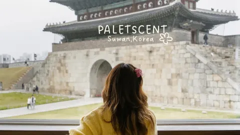수원 성곽 뷰 카페. — traveler post in 수원